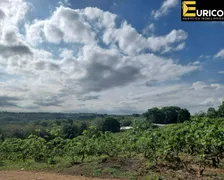 Terreno / Lote / Condomínio à venda, 81500m² no Macuco, Valinhos - Foto 11