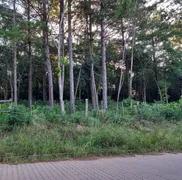 Terreno / Lote / Condomínio à venda, 279m² no Campestre, São Leopoldo - Foto 3