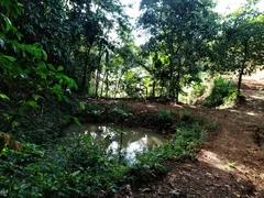 Fazenda / Sítio / Chácara com 3 Quartos à venda, 41000m² no Voldac, Volta Redonda - Foto 14