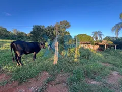 Fazenda / Sítio / Chácara com 2 Quartos à venda, 60m² no Zona Rural, São Sebastião do Oeste - Foto 6