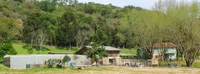 Fazenda / Sítio / Chácara com 5 Quartos à venda, 130000m² no Santa Lúcia do Piaí, Caxias do Sul - Foto 9