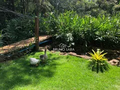 Fazenda / Sítio / Chácara com 6 Quartos à venda, 550m² no , Igarapé - Foto 43