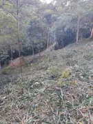 Terreno / Lote / Condomínio à venda, 10m² no Correas, Petrópolis - Foto 15