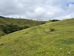 Fazenda / Sítio / Chácara com 3 Quartos à venda, 508200m² no Centro, Piracaia - Foto 3