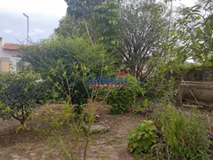 Fazenda / Sítio / Chácara com 4 Quartos à venda, 1066m² no Jardim Luiza, Jacareí - Foto 6