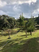 Fazenda / Sítio / Chácara com 6 Quartos à venda, 200m² no Centro, Mandirituba - Foto 12