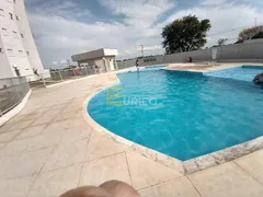 Apartamento com 2 Quartos à venda, 48m² no Joao Aranha, Paulínia - Foto 7