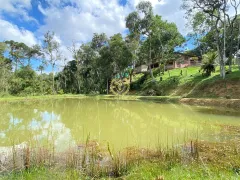 Fazenda / Sítio / Chácara com 4 Quartos à venda, 8000m² no Faxina, São José dos Pinhais - Foto 25