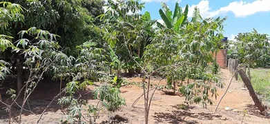 Fazenda / Sítio / Chácara com 3 Quartos à venda, 4500m² no Area Rural do Paranoa, Brasília - Foto 18