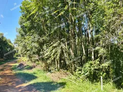 Fazenda / Sítio / Chácara com 1 Quarto à venda, 5224m² no Faxina, São José dos Pinhais - Foto 2