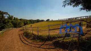 Fazenda / Sítio / Chácara com 2 Quartos à venda, 484000m² no Zona Rural, Quadra - Foto 25