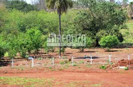 Fazenda / Sítio / Chácara com 3 Quartos à venda, 35000m² no Centro, Igarapava - Foto 24