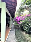 Fazenda / Sítio / Chácara com 3 Quartos para alugar, 10000m² no Vila Moraes, Mogi das Cruzes - Foto 10