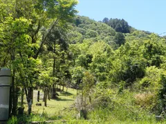 Fazenda / Sítio / Chácara à venda, 48500m² no Vila Germania, Nova Petrópolis - Foto 1