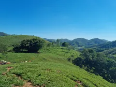 Fazenda / Sítio / Chácara com 3 Quartos à venda, 484000m² no São Francisco Xavier, São José dos Campos - Foto 25