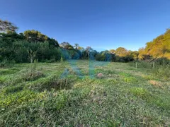 Fazenda / Sítio / Chácara com 2 Quartos à venda, 60m² no Zona Rural, São Sebastião do Oeste - Foto 10