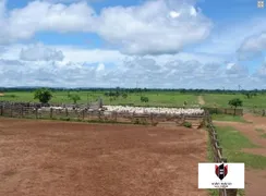 Fazenda / Sítio / Chácara com 20 Quartos à venda, 149000000m² no Zona Rural, Rondolândia - Foto 6
