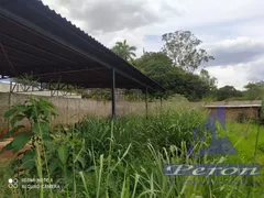 Fazenda / Sítio / Chácara com 2 Quartos à venda, 3225m² no Conjunto Vale Azul, Sarandi - Foto 16