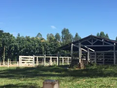 Fazenda / Sítio / Chácara com 4 Quartos à venda, 4259200m² no Rural, Silvânia - Foto 15