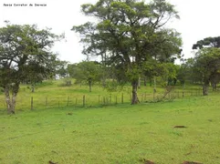 Fazenda / Sítio / Chácara com 3 Quartos à venda, 915000m² no Campina, Tijucas do Sul - Foto 19