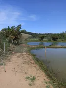 Fazenda / Sítio / Chácara à venda no Zona Rural, Botelhos - Foto 5