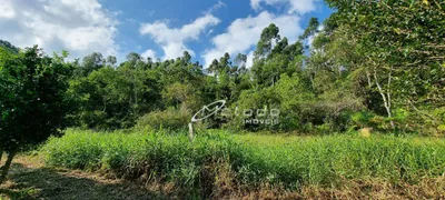 Fazenda / Sítio / Chácara com 12 Quartos à venda, 145200m² no Itapeti, Guararema - Foto 114