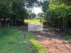 Fazenda / Sítio / Chácara com 5 Quartos à venda, 909000m² no Centro, Araquari - Foto 11