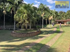 Fazenda / Sítio / Chácara com 1 Quarto à venda, 200m² no Ponte Preta, Louveira - Foto 18