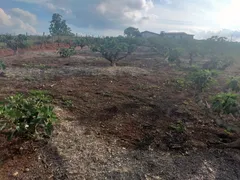 Fazenda / Sítio / Chácara com 2 Quartos à venda, 200m² no Zona Rural, Morungaba - Foto 3