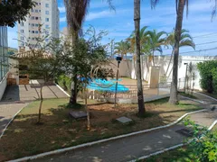 Apartamento com 2 Quartos à venda, 50m² no Jardim Americano, São José dos Campos - Foto 3