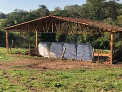 Fazenda / Sítio / Chácara com 3 Quartos à venda, 500m² no Centro, Mirassol - Foto 18