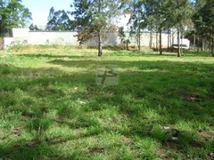 Terreno / Lote / Condomínio à venda no Jardim São Paulo, Itaquaquecetuba - Foto 2