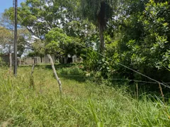 Terreno / Lote / Condomínio com 1 Quarto à venda, 4018m² no Aldeia, Camaragibe - Foto 17