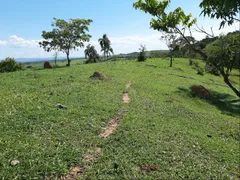 Terreno / Lote / Condomínio à venda, 20000m² no Chácara Florida, Taubaté - Foto 6