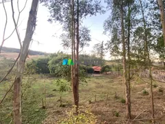 Fazenda / Sítio / Chácara com 1 Quarto à venda, 55m² no Zona Rural, Belo Vale - Foto 14