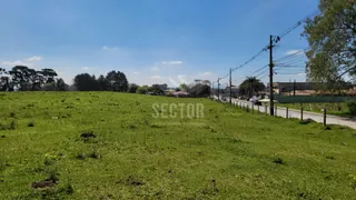 Terreno / Lote Comercial para alugar, 20000m² no Rio Pequeno, São José dos Pinhais - Foto 7