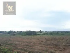 Fazenda / Sítio / Chácara com 3 Quartos à venda, 27000m² no Trairas, Macaíba - Foto 11