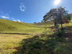 Terreno / Lote / Condomínio à venda, 20000m² no Zona Rural, Santo Antônio do Pinhal - Foto 7