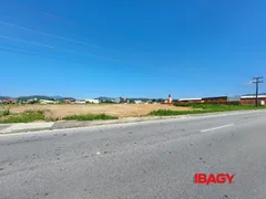 Terreno / Lote Comercial para alugar, 11998m² no Aririu, Palhoça - Foto 1