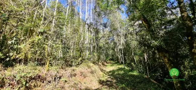 Fazenda / Sítio / Chácara à venda, 75625m² no Zona Rural, Monte Belo do Sul - Foto 5