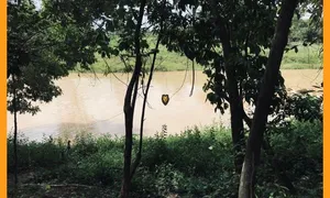 Casa com 2 Quartos à venda, 1000m² no Area Rural de Ceilandia, Brasília - Foto 3