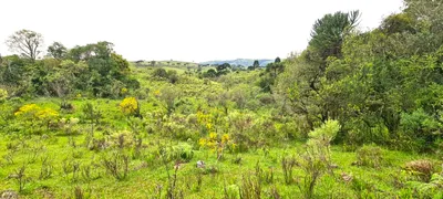 Fazenda / Sítio / Chácara à venda, 150000m² no Centro, São Joaquim - Foto 41