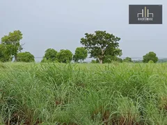 Fazenda / Sítio / Chácara à venda, 21000000m² no Zona Rural, Nossa Senhora do Livramento - Foto 24