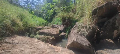 Fazenda / Sítio / Chácara à venda, 4500m² no Voldac, Volta Redonda - Foto 4