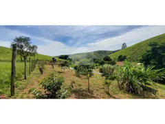 Fazenda / Sítio / Chácara com 3 Quartos à venda, 48400m² no , São Luiz do Paraitinga - Foto 15