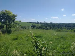 Fazenda / Sítio / Chácara com 3 Quartos à venda, 10000000m² no Jardim dos Lopes, Limeira - Foto 29