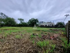 Terreno / Lote / Condomínio para alugar, 2210m² no Anita Garibaldi, Joinville - Foto 5