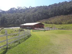 Fazenda / Sítio / Chácara com 4 Quartos à venda, 210000m² no Santa Terezinha, São Luiz do Paraitinga - Foto 11