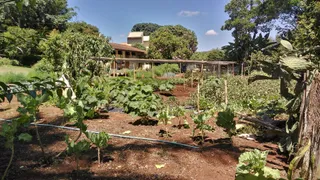 Fazenda / Sítio / Chácara com 3 Quartos à venda, 20000m² no Caxambú, Jundiaí - Foto 56