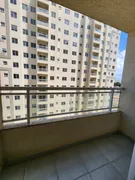 Apartamento com 2 Quartos para alugar, 45m² no Vila Vicente Fialho, São Luís - Foto 9